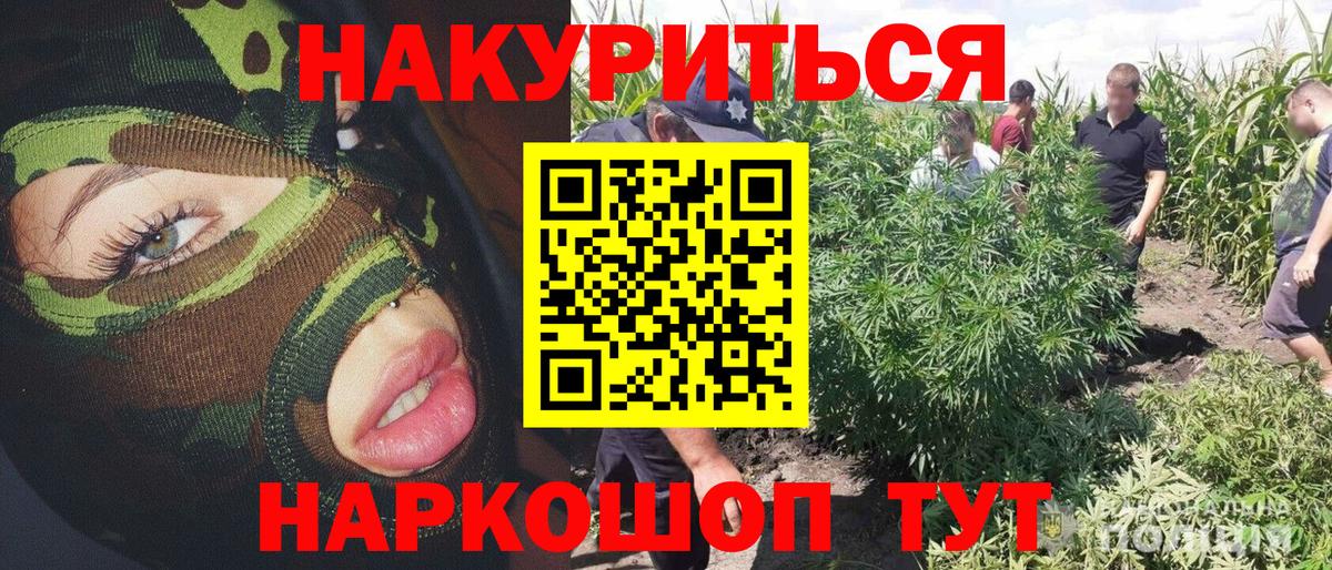 Шишки марихуана планчик Реутов
